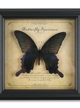 真蝴蝶标本相框高端木质装饰画家居摆件欧式复古相框摆台