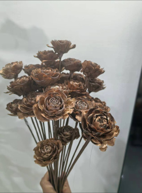 加粗干花铁丝松果莲蓬花杆diy花环材料花艺造型纸包咖啡色3号花杆