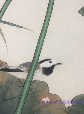 高仿艺术微喷荷塘蜻蜓翠鸟字画