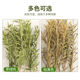 Vegetation reeds flowers sand table material model diy scene simulation production waterscape bamboo small trees shrubs