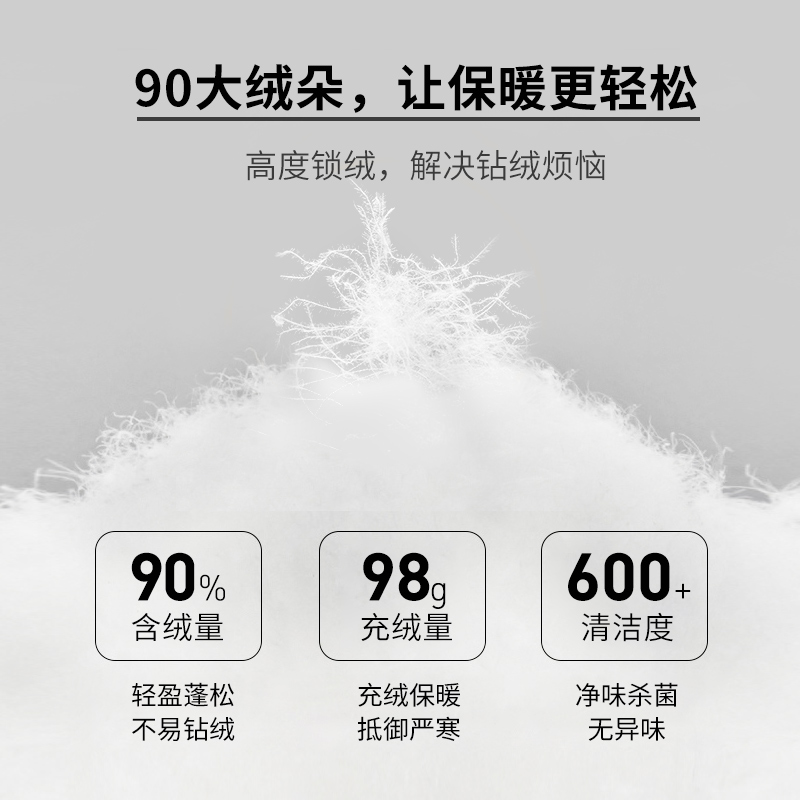 雪中飞2020年新款男轻薄短款潮牌 雪中飞朗来福羽绒服