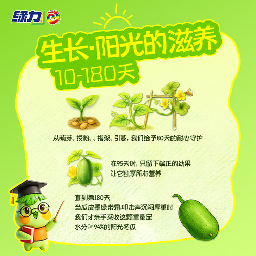 绿力冬瓜茶冬瓜汁饮料310ml*24罐装箱装国产果蔬果味饮品 - 图1