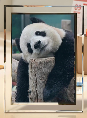 国宝熊猫可爱学生版水晶玻璃相框宿舍桌面摆件送朋友闺蜜摆台礼物