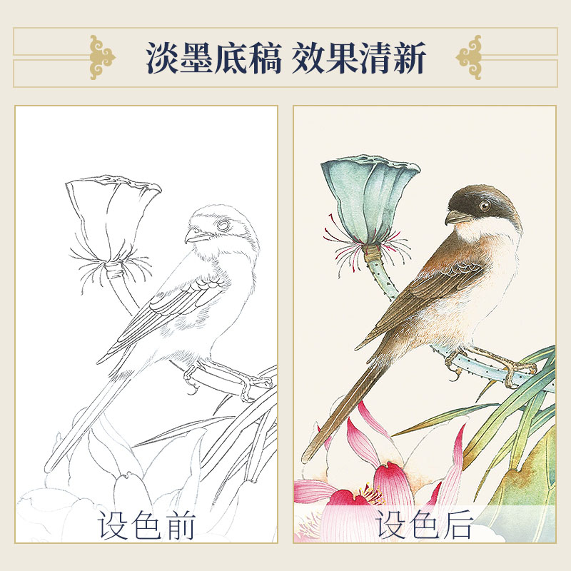 飞乐鸟工笔画白描底稿繁花绘禽鸟绘佳人绘熟宣纸临摹初学者线稿-图0