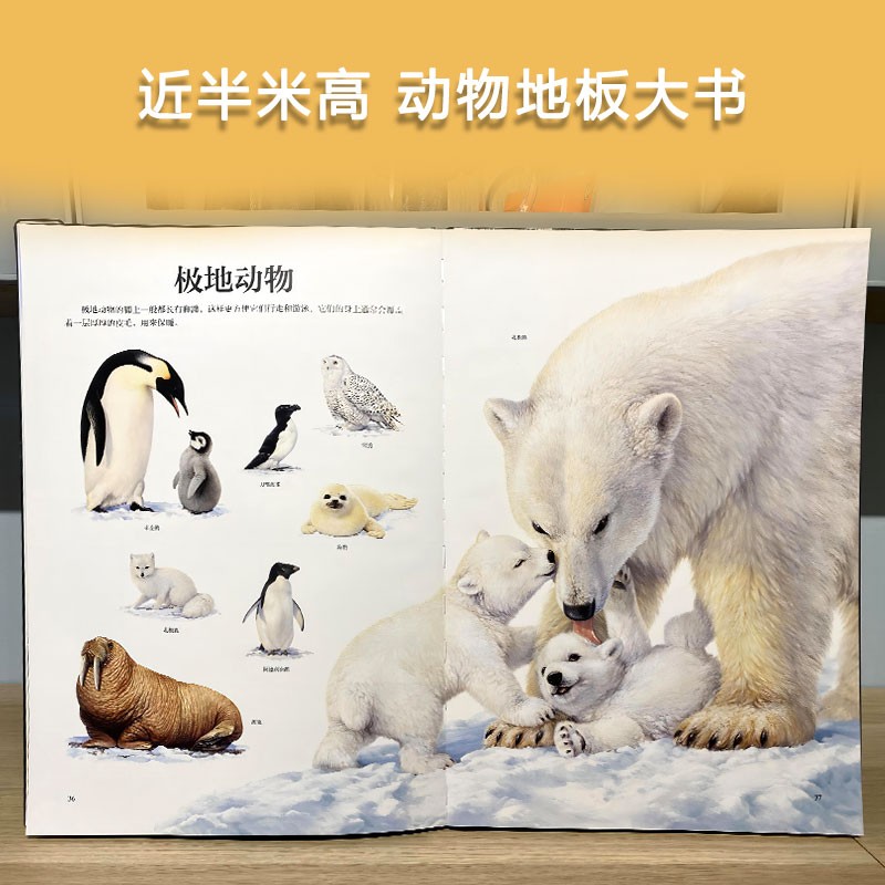 炫彩动物大书超级大绘本地板书法国幼儿启蒙早教书绘本0到3岁立体书儿童3d立体触摸书动物世界百科全书翻翻书读物认知托尼沃尔夫