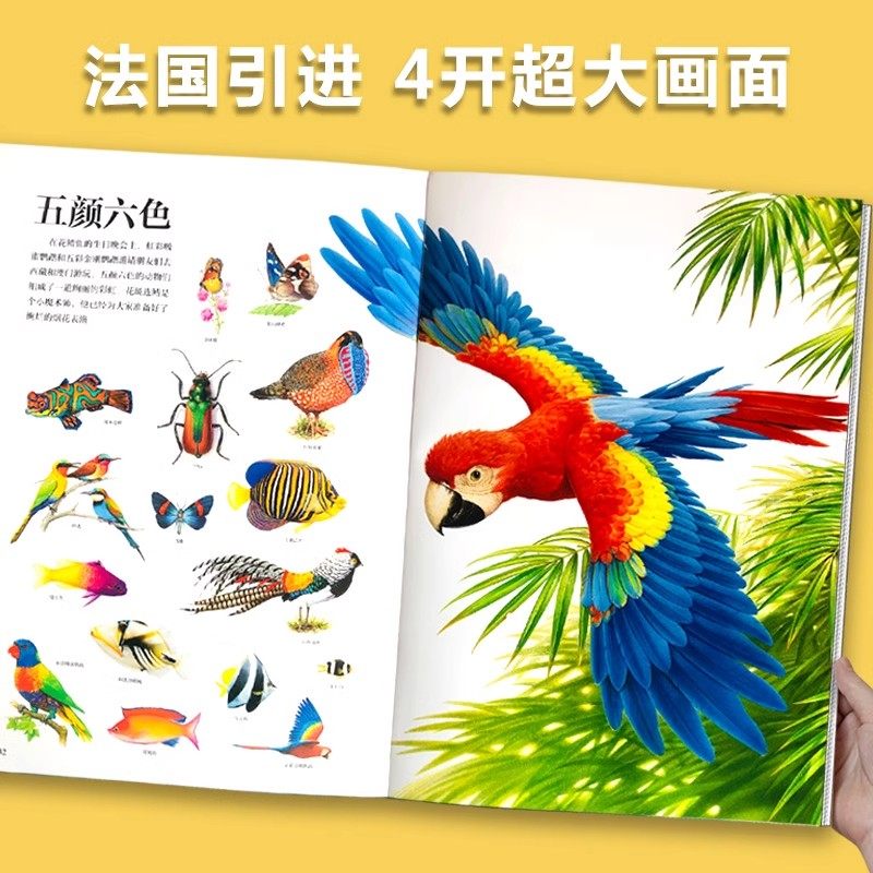 图 2