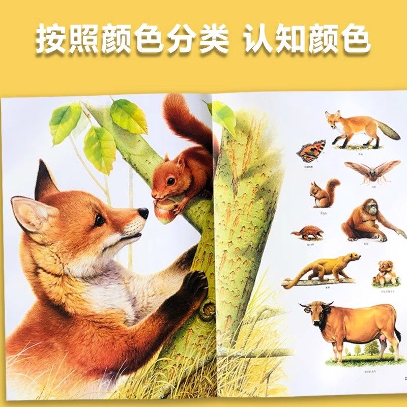 图 4
