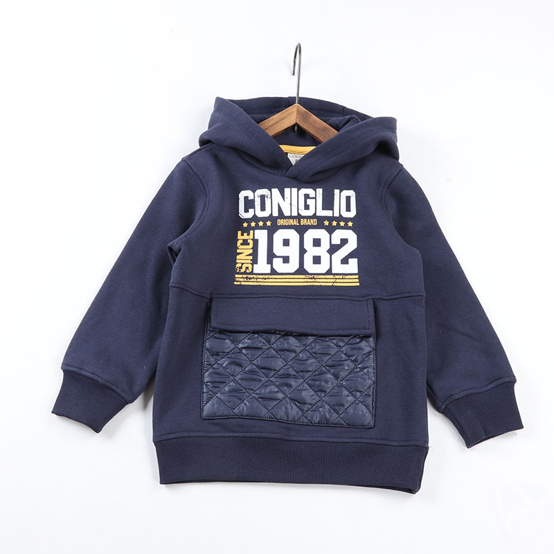 工厂尾货外贸中小童装加绒卫衣2-12岁男童连帽外套春秋款上衣印花 - 图3