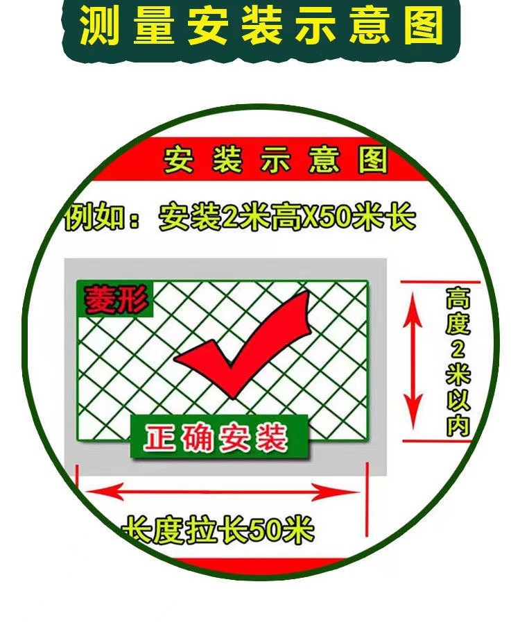 家禽养殖网天网养鸡网尼龙网护栏网鸡围网防护网植物爬藤网防鸟网