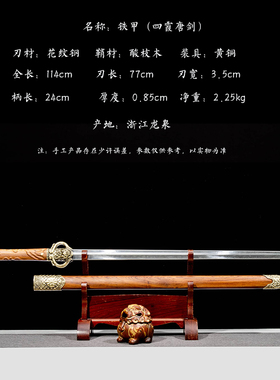龙泉宝刀 剑汉剑唐横刀直影视直播收藏礼品一体龙骨冷兵器未开刃