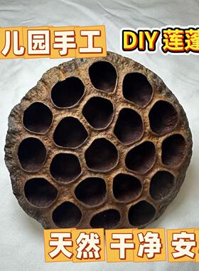 幼儿园手工DIY莲蓬灯天然干莲蓬幼儿园手工DIY莲蓬灯天然干莲蓬