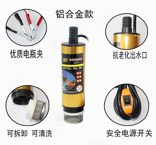 12V24V220V伏潜水泵电动微型抽油泵柴油泵水泵抽水机直流电瓶泵 - 图0