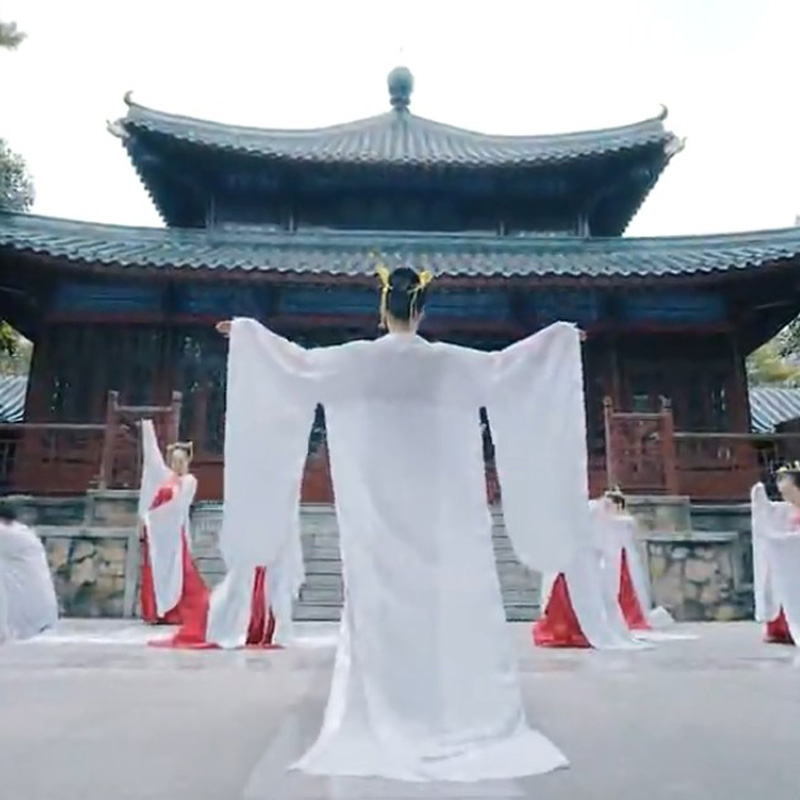 新款广袖大袖衫古典舞练习袖武媚娘外披汉唐风丽人行舞蹈服表演服 - 图3