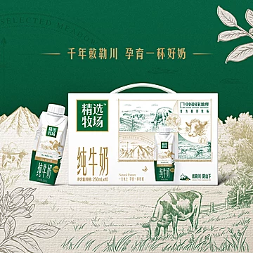 蒙牛敕勒川纯牛奶梦幻盖250ml×10包