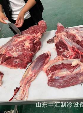 羊肉解冻胴体缓化全自动控制智能调控鲜品存储熟成柜
