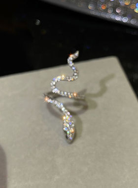 银色蛇形戒指女ins小众设计