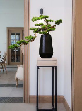 仿真植物迎客松办公室摆件