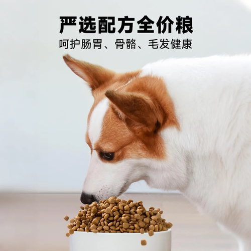 雷米高狗粮澳宝5kg巴哥金毛柯基比熊10斤装中小型成犬通用型狗粮 - 图1