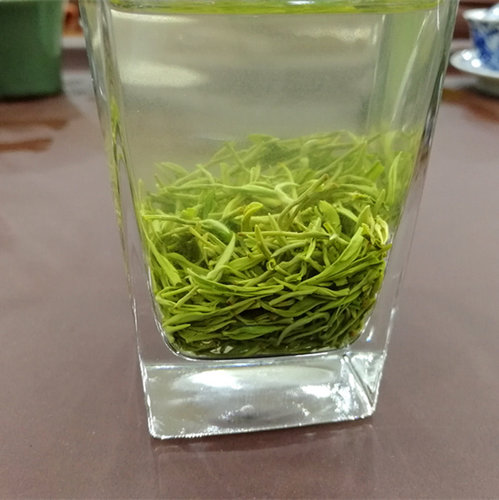 2026新茶永川秀芽特级浓香耐泡浓香毛尖绿茶毛峰高山绿茶半斤178 - 图1