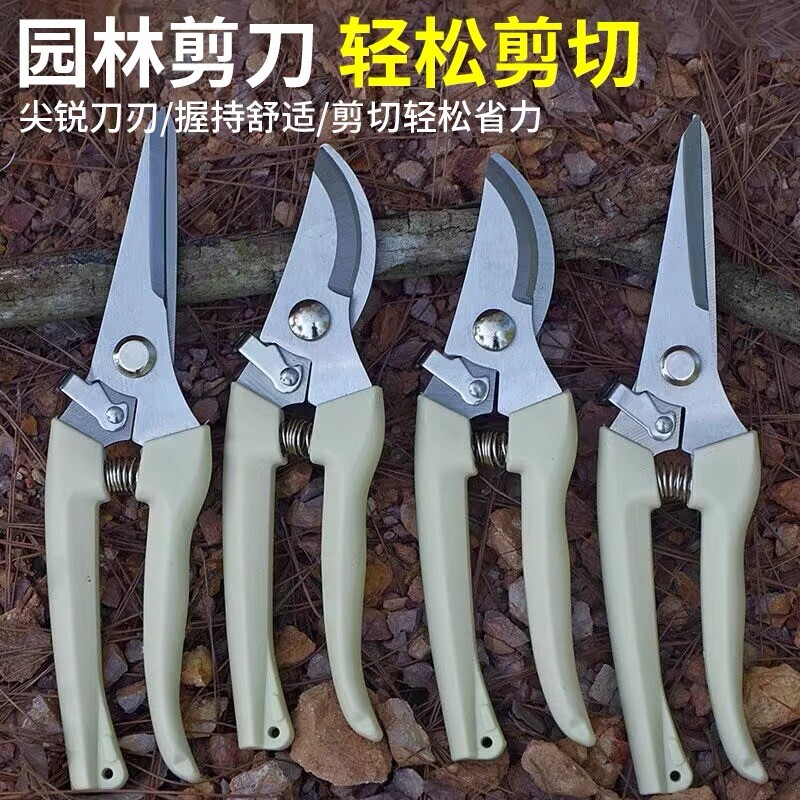 不锈钢园艺剪刀修枝剪采摘水果花木园林剪果树剪花卉枝嫁接工具剪 - 图1