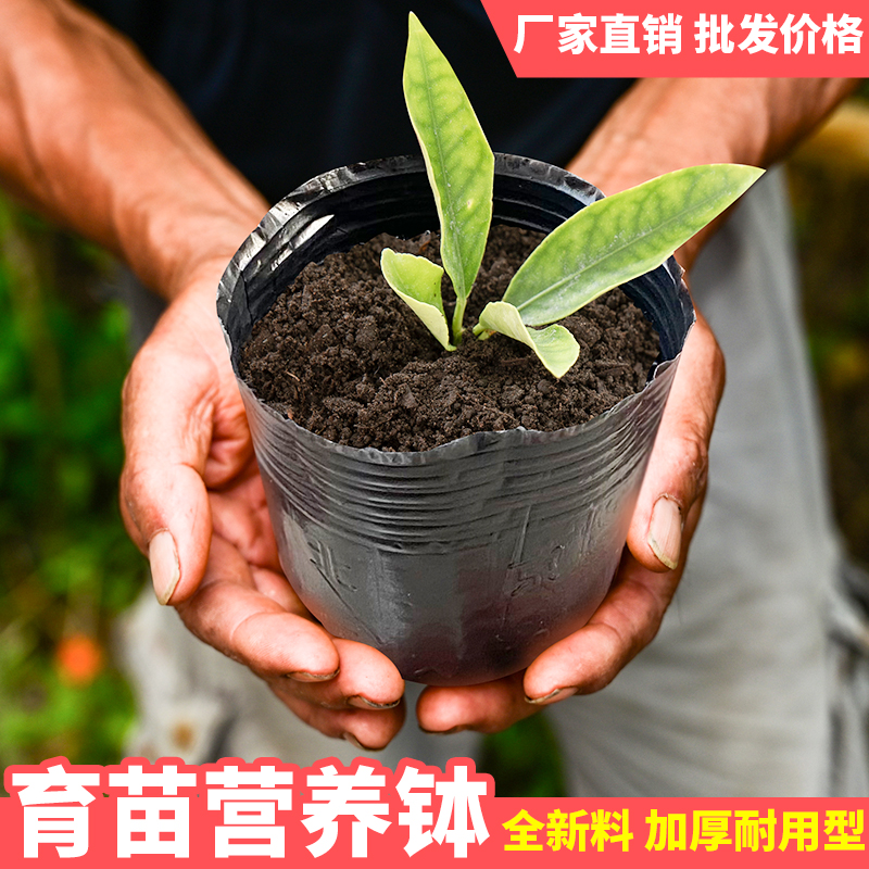 育苗营养杯育苗袋大号一次性花盆黑色种植塑料育苗杯育苗盆营养钵 - 图0