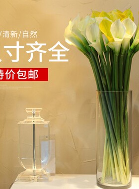 吊钟花瓶日本吊钟花瓶特大大号