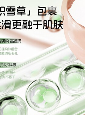 DMDN积雪草气垫霜控油持妆清透