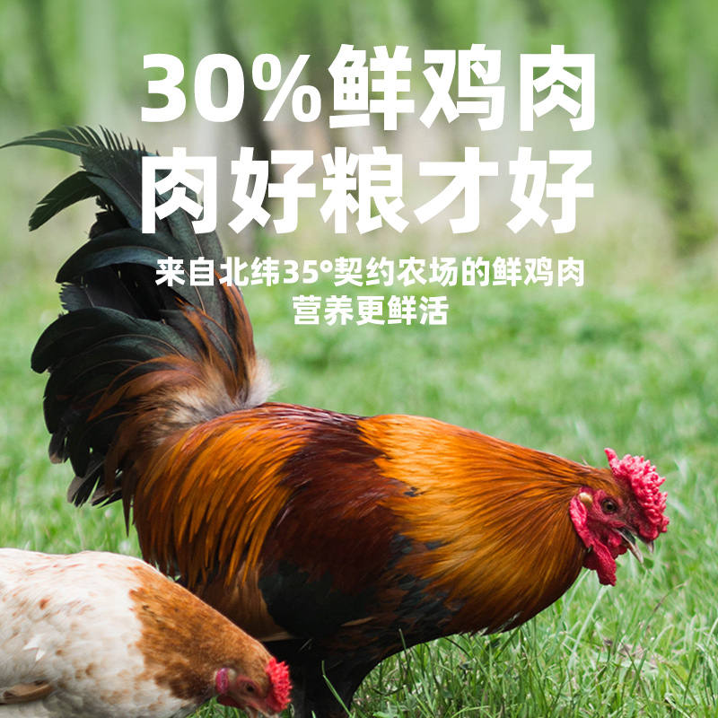 商品缩略图 1