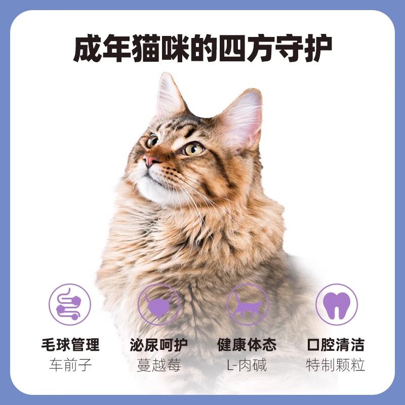 伯纳天纯成猫粮10kg呵护泌尿助排毛球猫粮品牌排行榜博纳天纯20斤