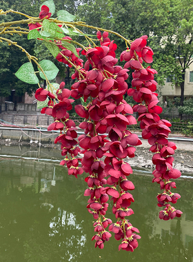 阿勃垂吊造型艺术风拍摄仿真花