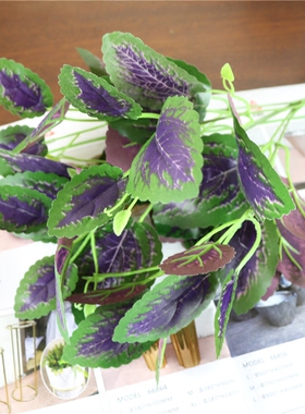 仿真紫苏红 植物墙把束 仿真小叶子 绿植墙装饰小植物 软装小把叶