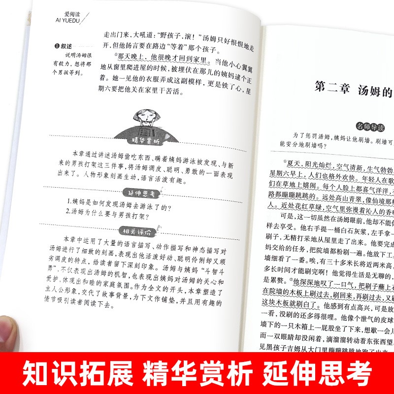 正版 汤姆索亚历险记 六年级必读小学生青少年版课外书三四五年级课外阅读书籍的阅读书籍儿童文学原著无删减6年级课下册爱阅读 - 图2