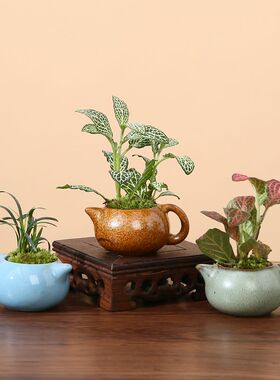 粗陶迷你铜钱草花插禅意家居桌面摆件水培绿陶创意花器陶瓷小花瓶