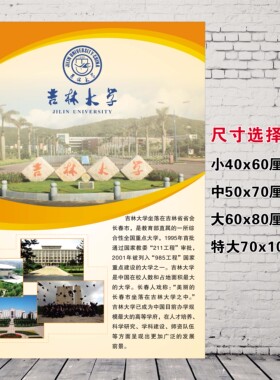 中国十大名校海报世界名牌大学图
