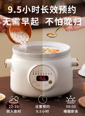 日本进口紫砂电炖锅家用全自动