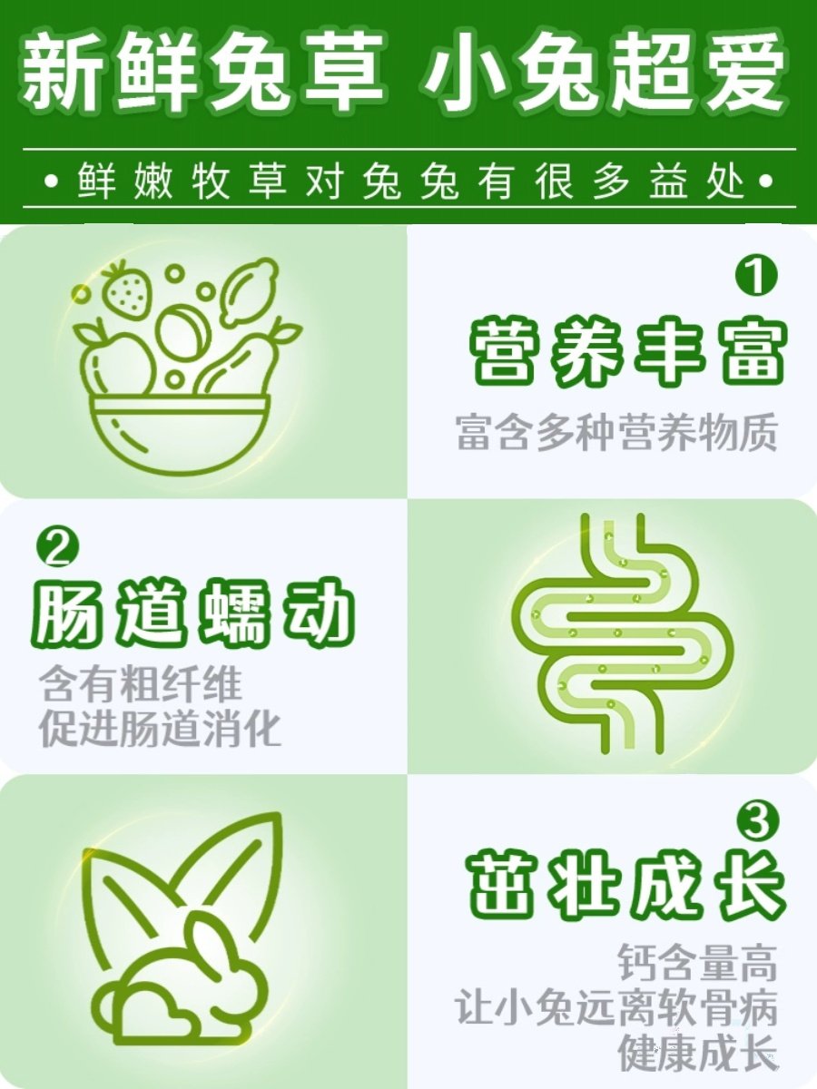 2023年新草提摩西干草半烘干优质头茬龙猫豚鼠宠物兔饲料干草饲料,淘宝优惠券,粉丝福利购,淘宝优惠卷