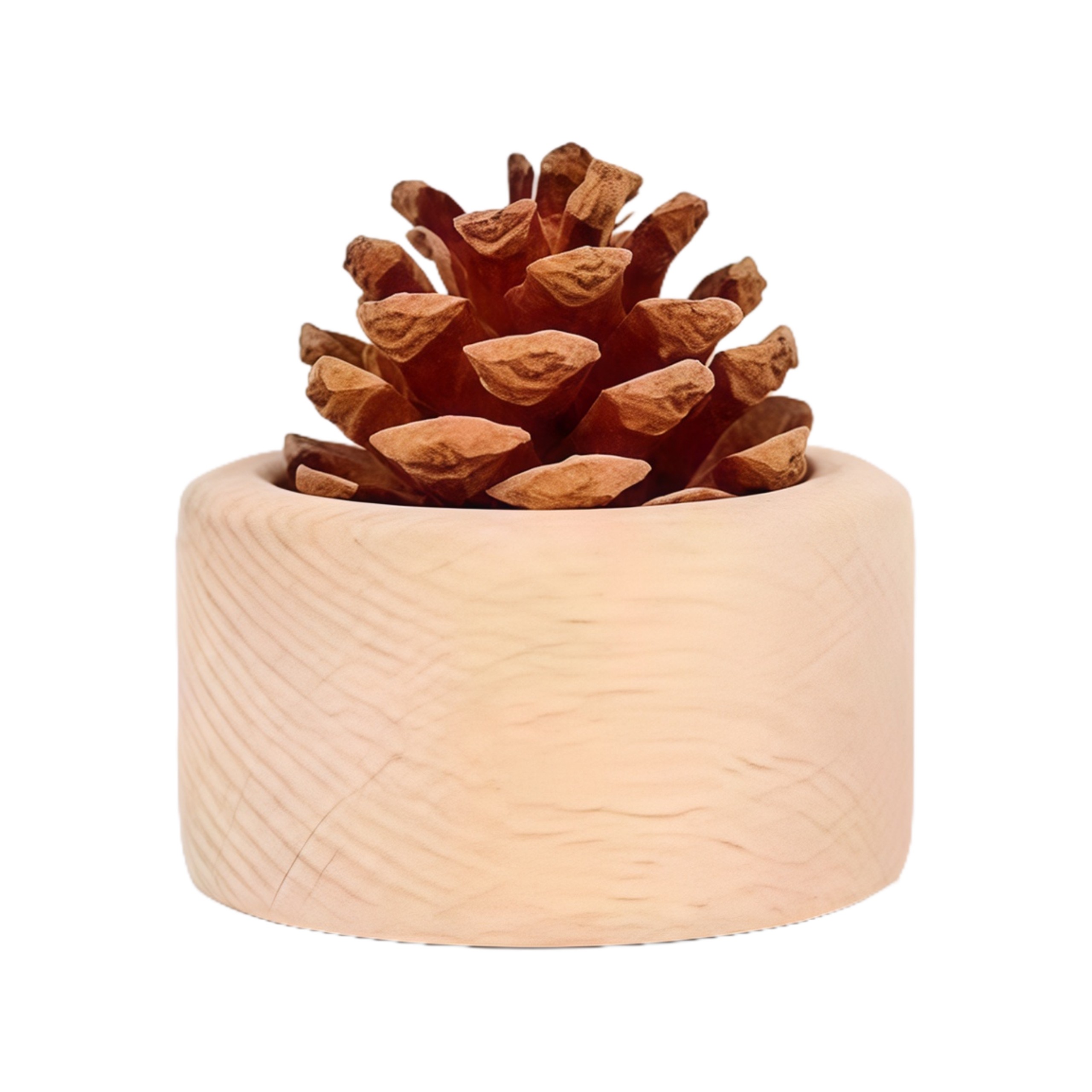 原木松果黑胡桃扩香木果实无火香薰车载卧室书房办公桌摆件香氛,淘宝优惠券,粉丝福利购,淘宝优惠卷