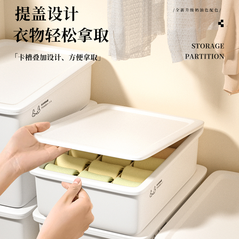 Divided wardrobe organizer, socks and underwear three-in-one