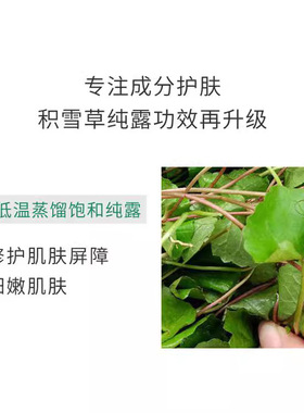 野生积雪草纯露水无添加湿敷水
