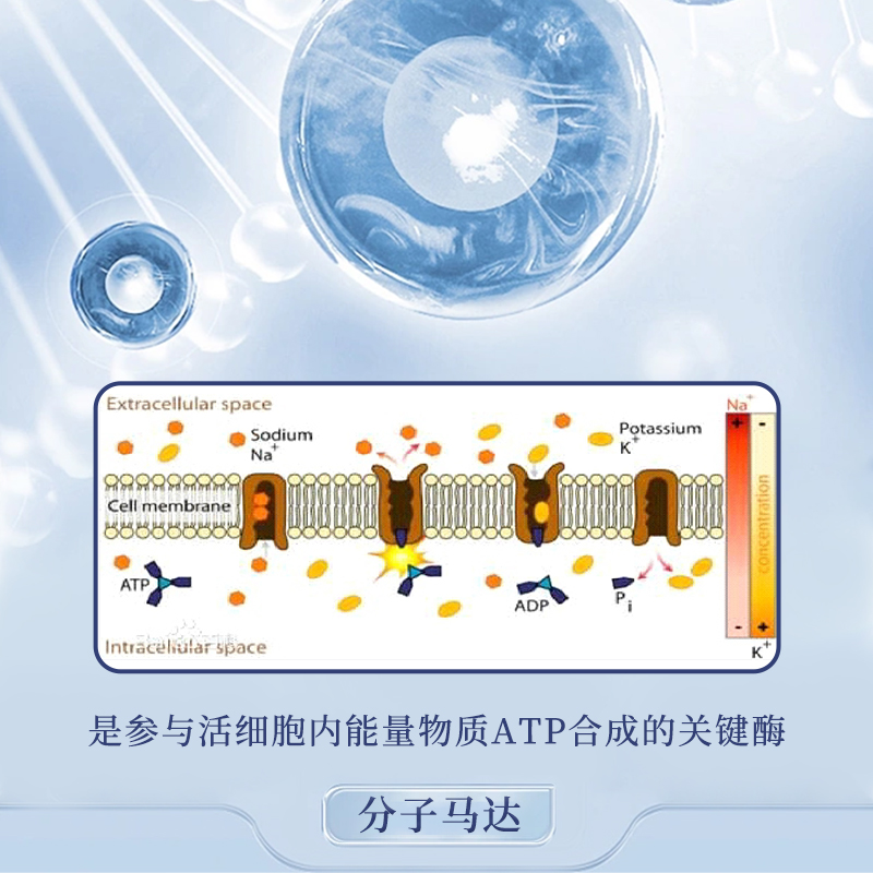 细胞保存溶液修护屏障再生改善红血丝PDRN微针原液修复补水修护_茉茵医美护肤_美容护肤/美体/精油-第2张图片-提都小院 细胞保存溶液修护屏障再生改善红血丝PDRN微针原液修复补水修护_茉茵医美护肤_美容护肤/美体/精油-第2张图片-提都小院