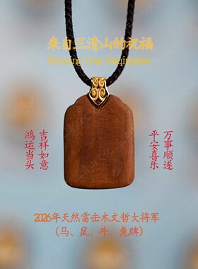 三清山【祝福发货】2026年文哲大将军本命吊坠天然雷击木镀金挂件