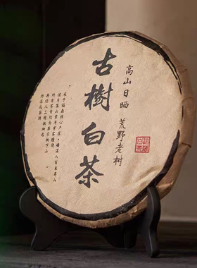 新中式博古架茶具装饰摆件样板间书房茶室茶柜装饰画搭配组合摆设