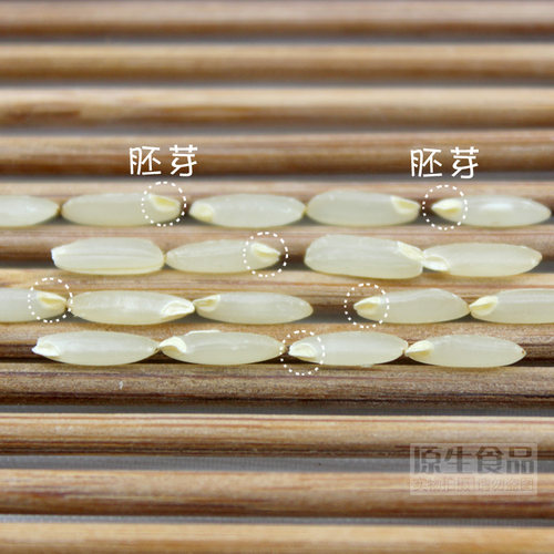富硒糙米发芽米新米5斤大米饭健身粗粮五谷杂粮胚芽米农家富硒米 - 图2