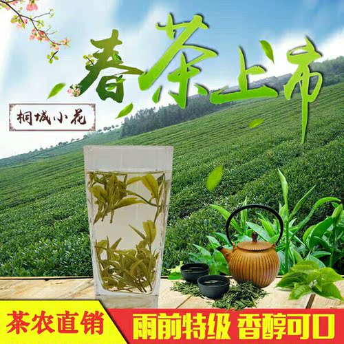 桐城小花散装春季雨前绿茶袋装明前高山云雾嫩芽罐装茶叶60克包邮 - 图1
