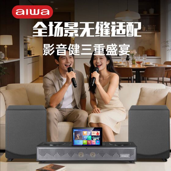 aiwa爱华WA222/666家庭影院KTV电视音响K歌点歌机 12寸低音炮音箱