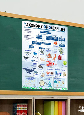STEAM海洋生物分类学英文科普挂