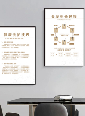 男女脱发类型海报头发生长过程宣传图头皮养护挂画植发机构装饰画