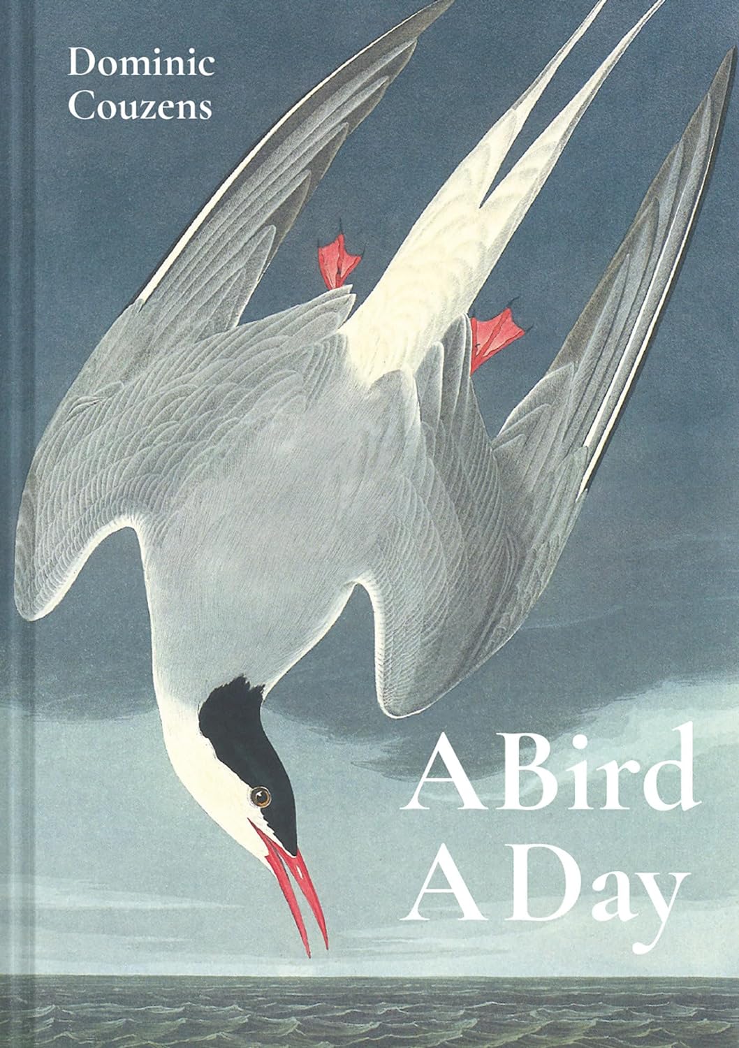 预售 英文原版 Bird a Day 一天一只鸟 - 图0