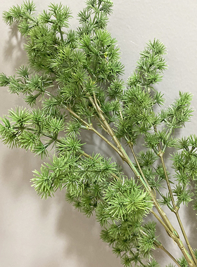仿真园林景观婚庆花艺松树枝