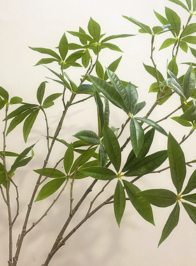 手感绿植橱窗假树造景发财树叶